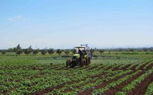 Pluies tardives : La saison agricole est-elle vraiment sauvée ? [INTÉGRAL]