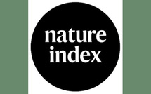 Sciences naturelles : 6 universités marocaines en tête du classement en Afrique (Nature Index) 