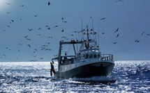 ​Accord de pêche : Le Maroc et la Russie en passe de signer un accord quadriennal