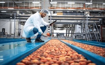 Commerce et investissement : Une mission d’affaires américaine au Maroc pour propulser le partenariat