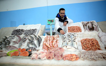 7ème édition de l'Initiative "Poisson à prix raisonnable" : distribution de plus de 4.000 T de poissons congelés