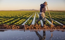 Etude : Les pluies de mars ne résoudront pas la crise de l’eau au Maroc
