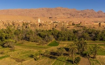  La FNSA et le CETIM appellent à la protéger le droit de grève dans le milieu agricole 