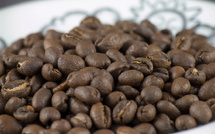 Le Maroc importe pour la première fois le café salvadorien 