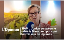 SIAM : L’Union européenne salue le Maroc son principal fournisseur de légumes