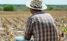 Monde rural : Ce qui empêche nos campagnes de semer des emplois