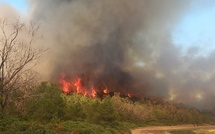Incendie dans la forêt de Houara: le suspect déféré devant la Justice 