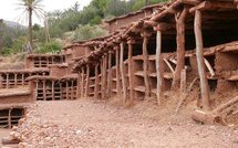 Agadir : À Inzerki, l’apiculture perpétue ses traditions