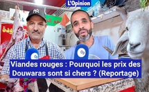 Viandes rouges : Pourquoi les prix des Douaras sont si chers ? (Reportage)