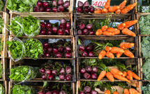 Marché marocain : Aubaine pour les exportateurs agricoles américains