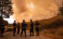 Forêts : 8 incendies maîtrisés dans les dernières 24 heures (ANEF) 