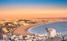 Agadir : Une structure inédite pour mettre un terme au chaos ambiant