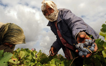 Femmes dans le milieu agricole : Un niveau d’empowerment modéré mais encourageant !