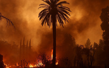 Chtouka-Aït-Baha: Plus de 6 Ha de palmiers ravagés par les flammes