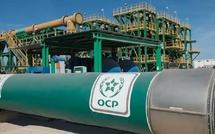 Secteur minier : Le Maroc au cœur de la sécurité alimentaire mondiale