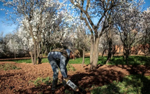 La BAD accorde 100 M€ au Maroc pour soutenir les femmes et les jeunes agriculteurs