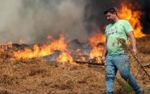 Le Portugal en état d’alerte en raison du risque d’incendies de forêt