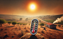 La canicule a tué 264 personnes au Portugal en une semaine