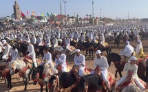 ​Moussem Moulay Abdallah: 122 troupes de Tbourida – dont trois exclusivement féminines – et 2 065 chevaux
