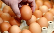 Œufs : La FISA s’explique sur la flambée des prix