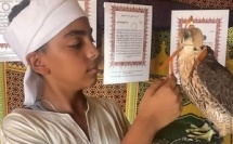 ​Fauconnerie / Reportage : La fauconnerie Lekouassem écrit l'histoire