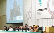 Le Japon entend renforcer son partenariat avec l’Afrique au TICAD 2025
