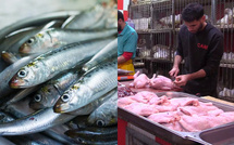​Sardine contre Poulet : À El Jadida, la guerre des prix affame les foyers  (Reportage)