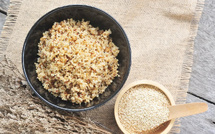​Youssoufia: La culture du Quinoa, de l'Initiative Locale à la Success Story Agricole du Gantour