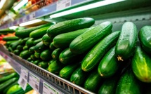 Pesticides : Quand le rappel des concombres français fait moins de bruit médiatique que les tomates marocaines en France! 