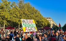 France : Rassemblements en soutien à Gaza