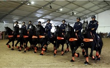 ​Salon du cheval d'El Jadida : Prestation magistrale de la Police Montée !