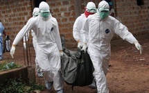 Multiplication des cas de fièvre au Sénégal