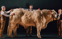 France: Le Maroc à l’honneur au Sommet de l’élevage de Clermont-Ferrand