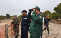 Sidi Bouknadel : les autorités mettent la main sur un réseau de trafic d’espèces protégées