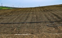 Périmètre du Loukkos: Lancement d’un programme ambitieux de cultures sucrières sur 13.000 hectares