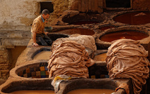 Santé au travail : Les tanneurs sous la menace de graves risques chimiques