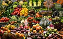 Souveraineté alimentaire : Le Maroc mange-t-il encore ce qu’il produit ?