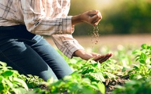 “Tadaroj”: Vers la formation de 17.000 jeunes aux métiers agricoles