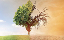 Démographie et climat : Le Maroc à l’épreuve d’une équation complexe