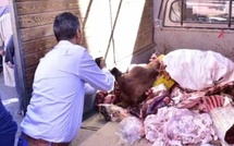 ​Marrakech : Saisie et destruction de 2,3 tonnes de viandes avariées