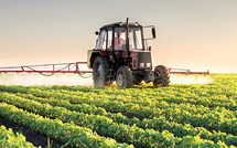 Agriculture durable : Le Maroc cité comme cas d’école dans une étude internationale