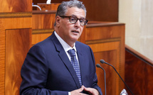 Akhannouch : "Le PLF-2026 renforce le développement rural intégré avec le lancement de 36 centres pilotes pour 2,8 MMDH"