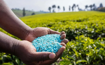 L’Inde renforce ses liens avec le Maroc pour sécuriser son approvisionnement en engrais