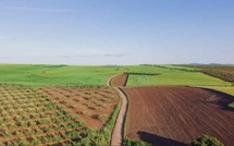 ​Agriculture – Casablanca-Settat : Les pluies redonnent confiance aux agriculteurs pour la campagne 2025-2026