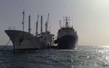 Pêche : la Russie commence à répartir les quotas dans les eaux marocaines